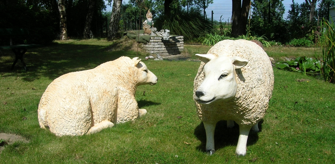 schaap polyester