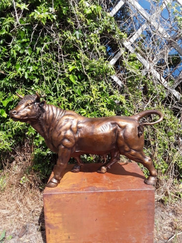 BR50: Stier h: 55cm l: 85 cm