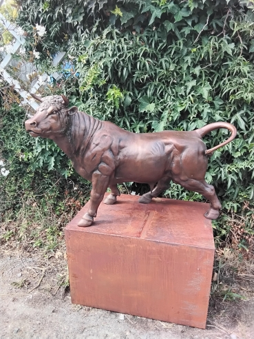 Stier