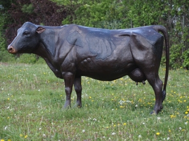BR23