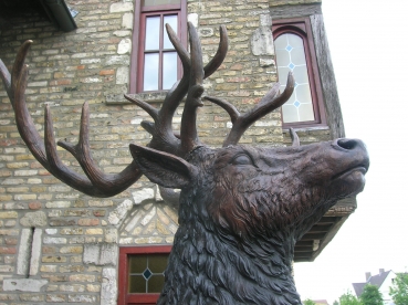 B12: Hert detail.