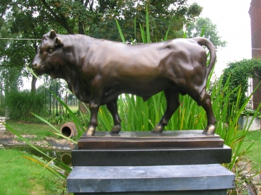 B8: stier brons
