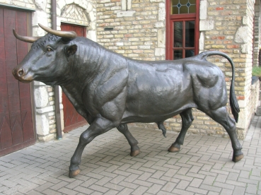 B33: Prachtige stier in brons. Ware grootte.