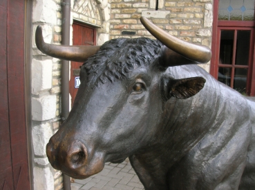 B21: Stier detail