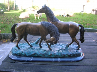 B52: Koppel paarden.