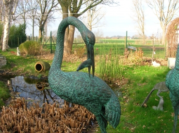 B91:REIGER BRONS