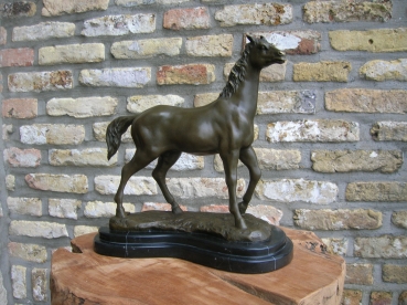 B69: Paard