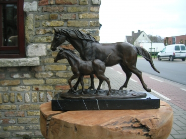 B59:Paard met veulen
