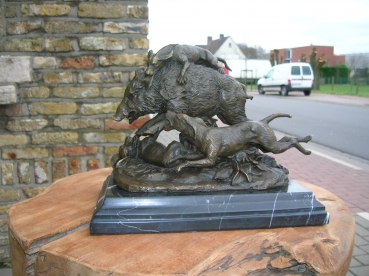 B64: Everzwijn