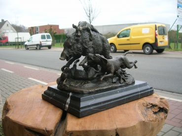 B65: Everzwijn