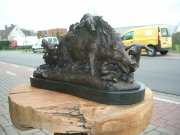 B66: Everzwijn