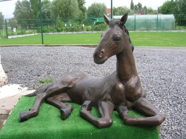 B87:Paard veulen