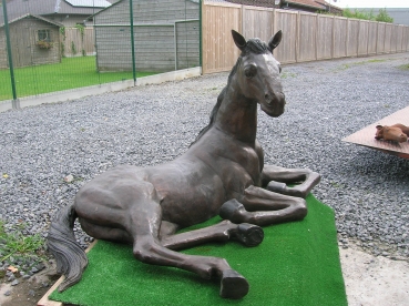 B88:Paard veulen