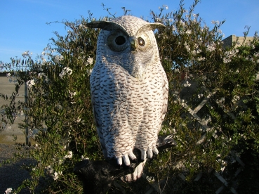 B128: