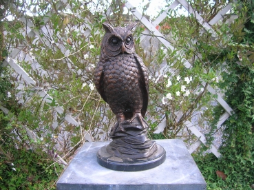 B135:Uil.\nH:40cm