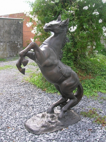 B140D:paard\nh:1.05m