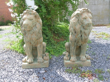 B140E:koppel leeuwen.h:80cm