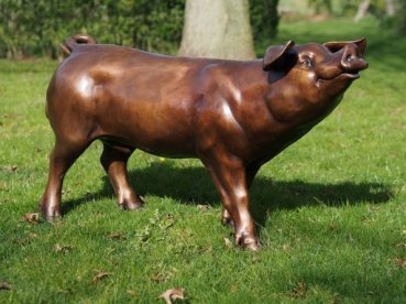 BR38