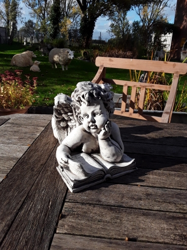 ST 1: Engel met boek.h:25cm\nEngelen.