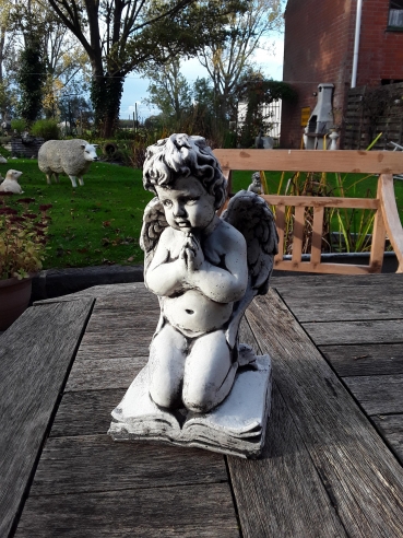 ST4: Engel biddend, op boek h:31cm\nEngelen.