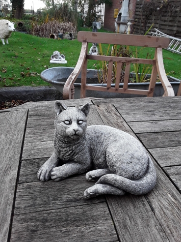 ST9: Poes liggend