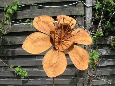 S98
