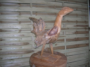 H11:Haan teak. 50 euro