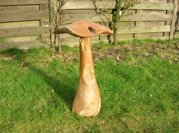 Paddenstoel