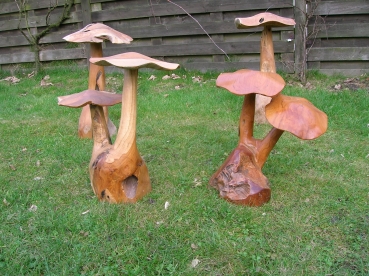 Paddenstoelen