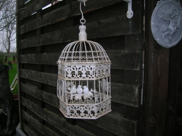 Vogelkooi in verschillende formaten en modellen. 15 euro