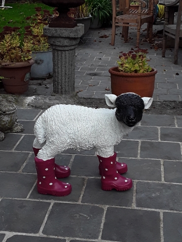 P34 Schaap met laarzen.