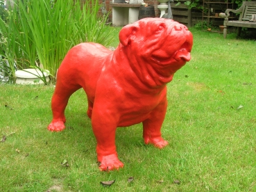 P3:bull dog hond in verschillende kleuren