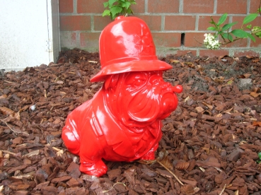P10:Bull dog
