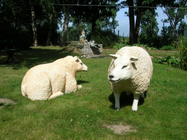 P2:Schaap : staand, liggend of grazend.\nGroot of klein.