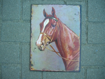 H63: 6 euro