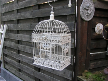 H91: vogelkooi 20 euro, klein model:15 euro.
